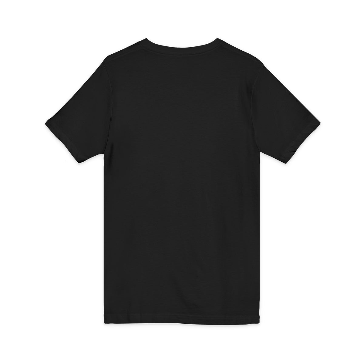 Earned $tatus V-Neck