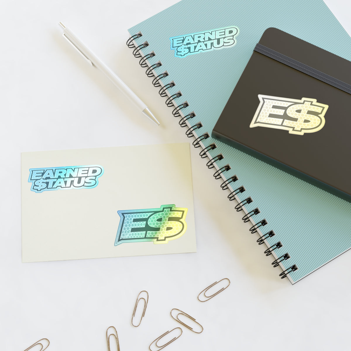 Earned $tatus Sticker Sheet