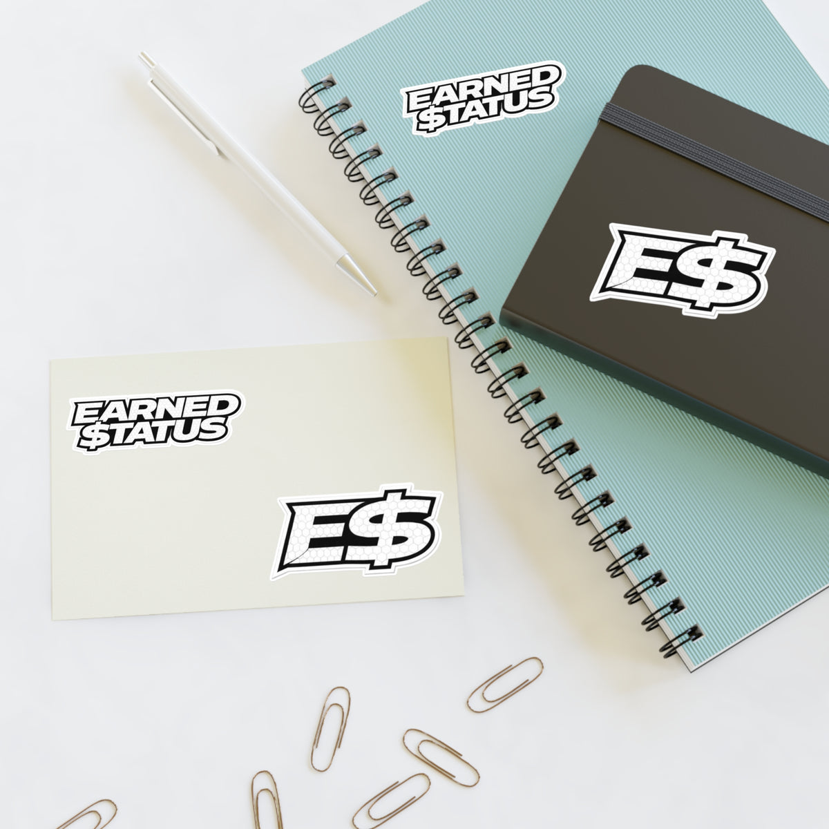 Earned $tatus Sticker Sheet